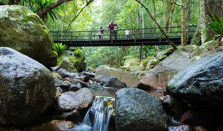 People exloring the Minnamurra Rainforest, Budderoo National Park. Photo: David Finnegan