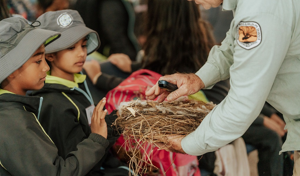 An NPWS guide shows primary students a woven nest-like object, Minnamurra Rainforest, Budderoo National Park. Photo: Remy Brand/DCCEEW &copy; DPE