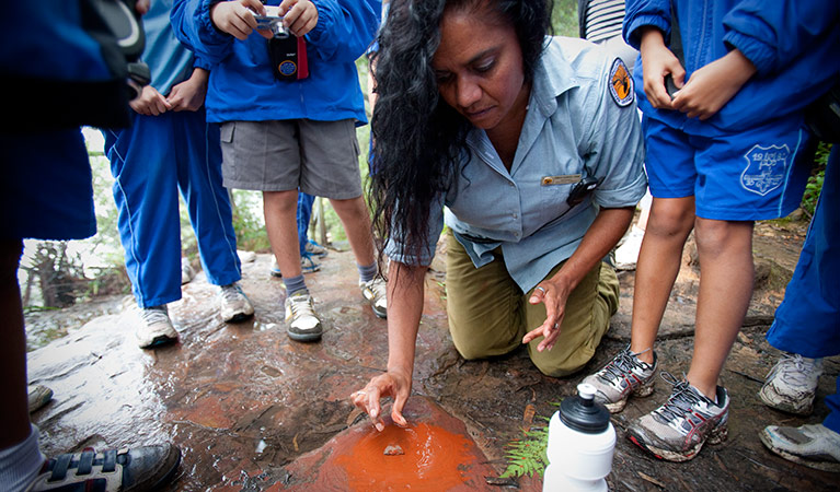 Aboriginal Discovery Ranger, Blue Mountains National Park. Photo: Nick Cubbin