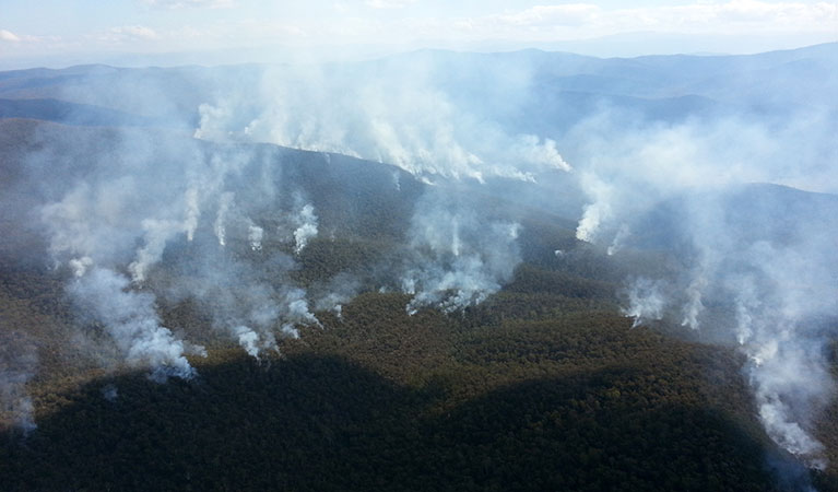 Smoke from an aerial incediary drop for the Byadbo stockyards hazard reduction burn at Emu Flat. Photo: Ian Dicker &copy; DPIE