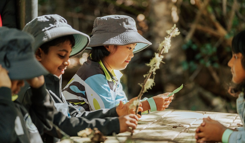 Stage 1 students sitting at an outside table and studying plants and leaves, Minnamurra Rainforest, Budderoo National Park. Photo: Remy Brand/DCCEEW &copy; DPE