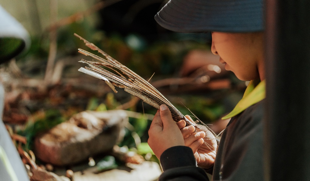 A Stage 1 student studies some plant branches closer, Minnamurra Rainforest, Budderoo National Park. Photo: Remy Brand/DCCEEW &copy; DPE