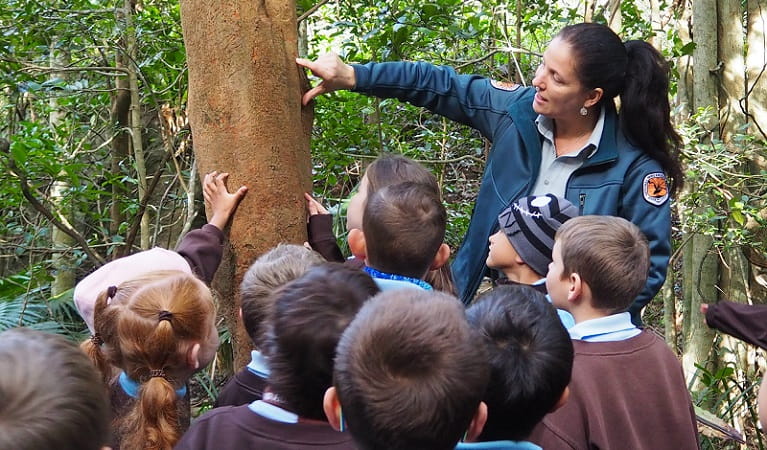 An NPWS guide leads students on an excursion in Minnamurra Rainforest, Budderoo National Park. Photo: Meagan Vella/OEH 