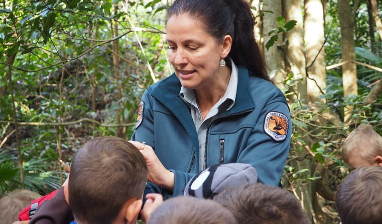 An NPWS guide leads students in Minnamurra Rainforest, Budderoo National Park. Photo: Meagan Vella/OEH