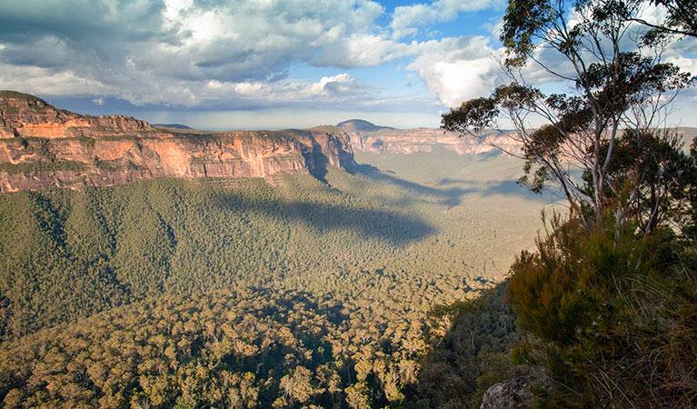 Perrys Lookdown drive, Blue Mountains National Park. Photo: Nick Cubbin