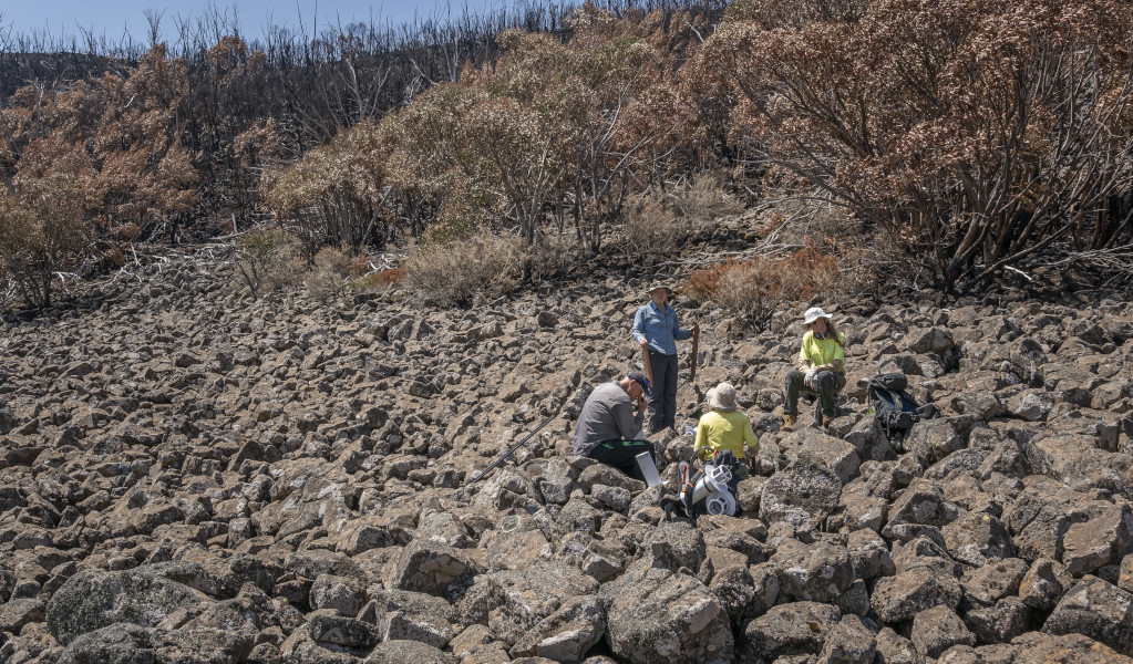 Group of scientists undertaking Mountain Pygmy Possum fieldwork among boulders. Photo: John Spencer &copy; DCCEEW