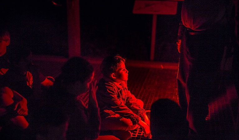 A student listens to a ranger, surrounded by darkness as evening falls on a Muttonbirds by moonlight school excursion. Photo: And the Trees Photography &copy; DPIE