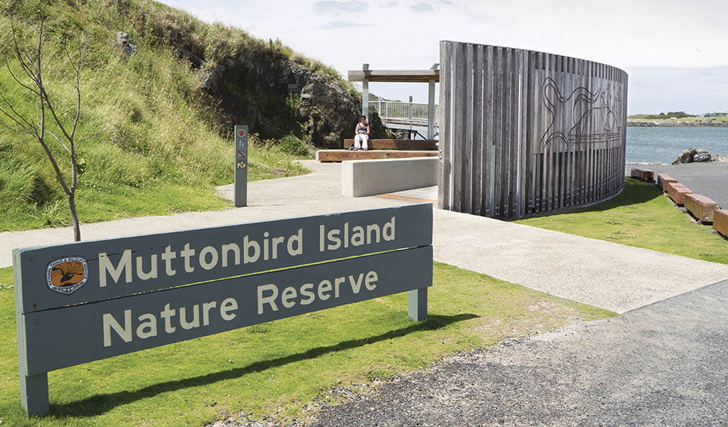 Muttonbird Island Outdoor learning space at Muttonbird Island Nature Reserve. Photo: Robert Cleary &copy; DPE