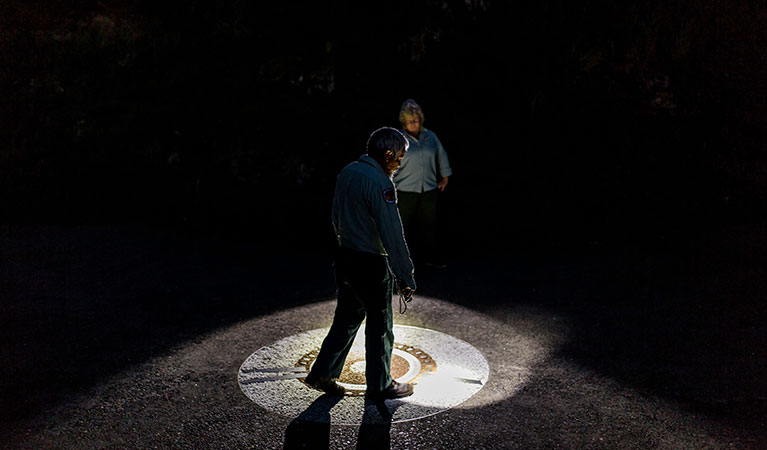 A ranger illuminated by torchlight on a Muttonbirds by moonlight school excursion at Muttonbird Island Nature Reserve. Photo: And the Trees Photography &copy; DPIE