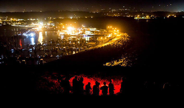 The view of city lights and students illuminated by torchlight on a Muttonbirds by moonlight school excursion. Photo: And the Trees Photography &copy; DPIE