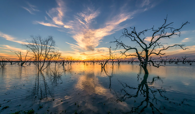 Kinchega National Park. Photo: John Spencer