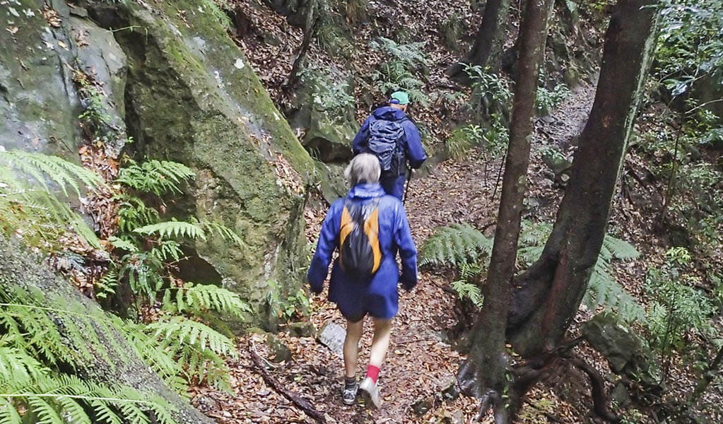 Bushwalkers on the Wentworth Pass Loop Walking Track in Blue Mountains National Park. Photo: Aine Gliddon &copy; DPE