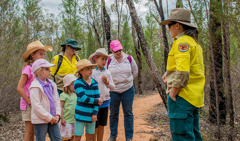 Timallallie Pilliga Discovery tour, Pilliga National Park. Photo: John Spencer