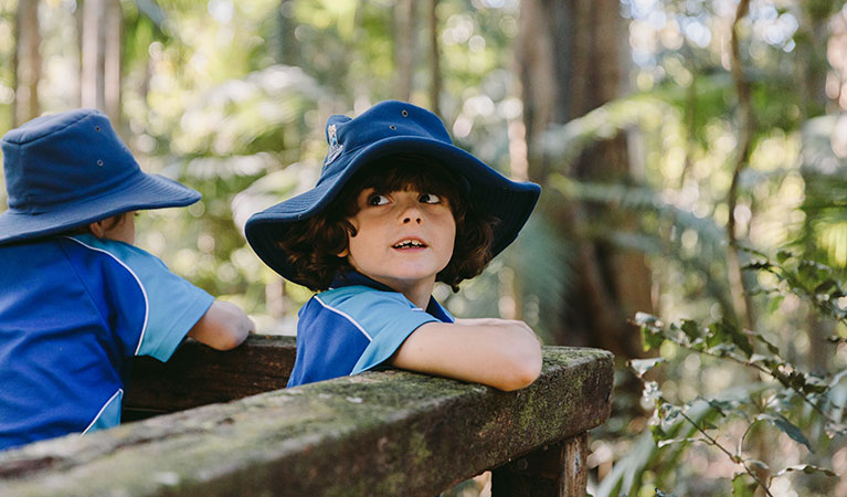 A student at a lookout on a school excursion in Sea Acres National Park. Photo: Remy Brand &copy; DPIE