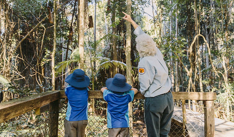 2 students looking up into the trees with an NPWS guide on a school excursion in Sea Acres National Park. Photo: Remy Brand &copy; DPIE