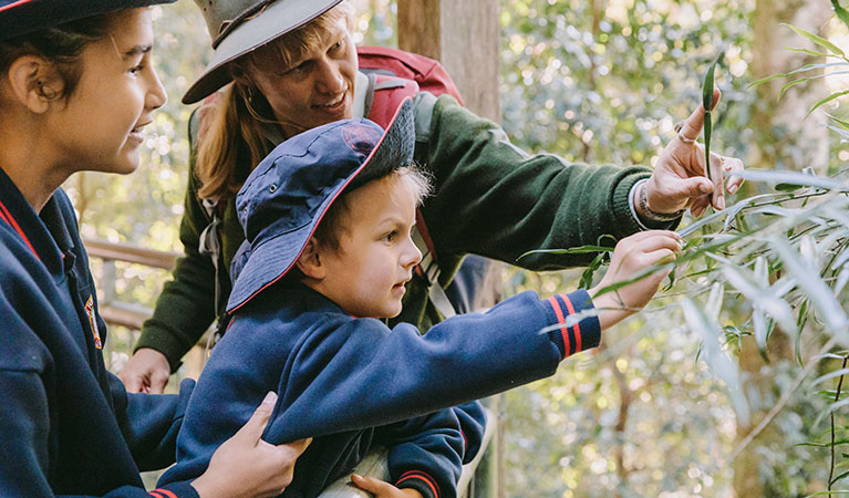 A ranger and 2 students investigating plants on a Sensing the rainforest school excursion in Dorrigo National Park. Photo: Remy Brand &copy; DPIE