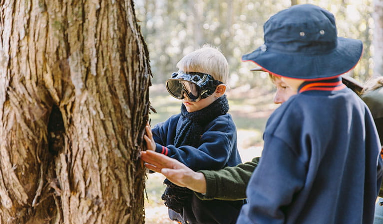 Students using touch to discover the trees of the rainforest on a Sensing the rainforest school excursion. Photo: Remy Brand &copy; DPIE