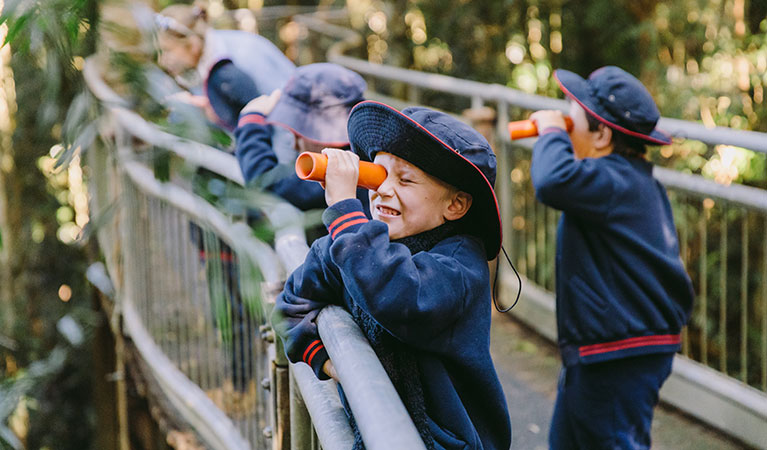 Students observing the rainforest from a boardwalk through telescopes on a Sensing the rainforest school excursion. Photo: Remy Brand &copy; DPIE