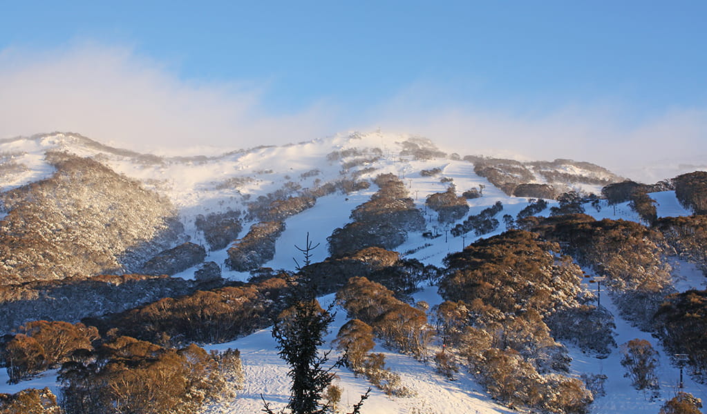 View of winter ski trails on Crackenback Mountain from Thredbo Alpine Village in Kosciuszko National Park. Photo: E Sheargold &copy; DPE