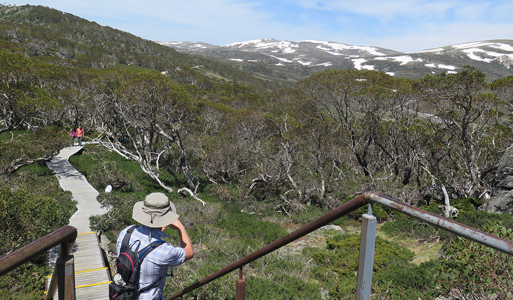 Views from the Snow Gums boardwalk in Kosciuszko National Park. Photo: E Sheargold &copy; DPE