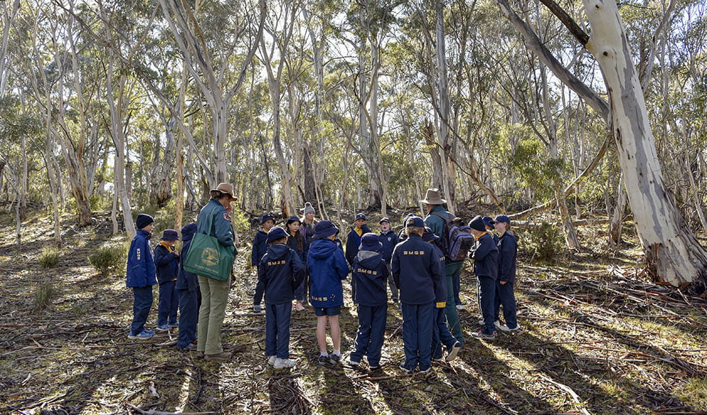 A group of students gathered in a circle for an excursion activity in Kosciuszko National Park. Photo: Adam Hollingworth &copy; DPE