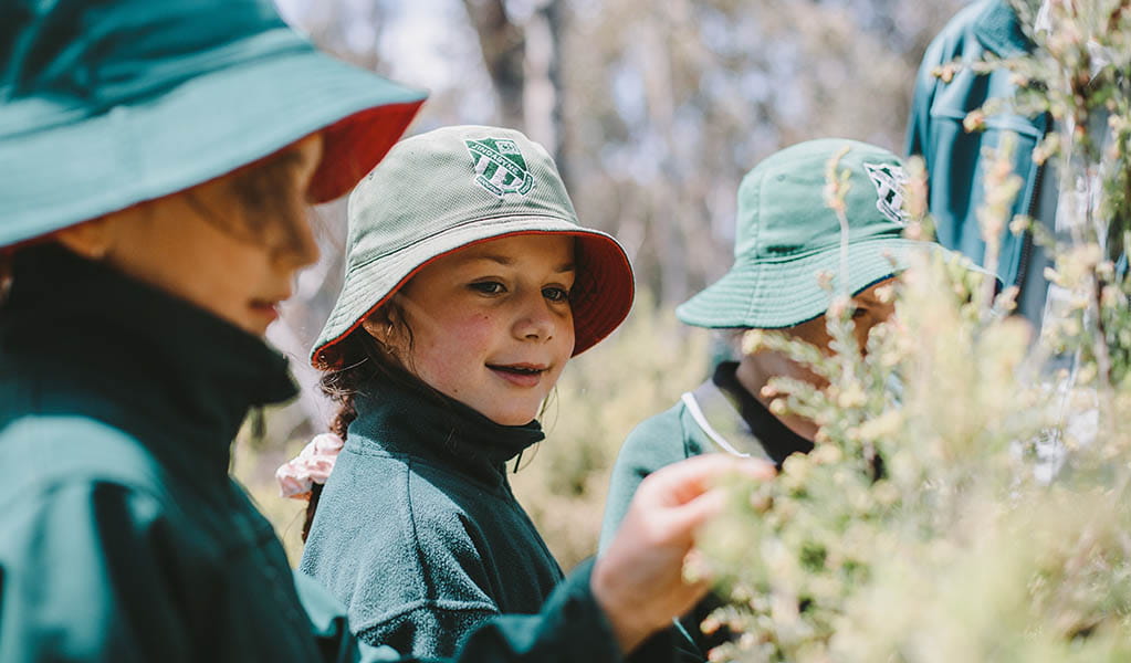 A group of students investigating plants on a school excursion in Blue Gum Hills Regional Park. Photo: Remy Brand &copy; DPE 