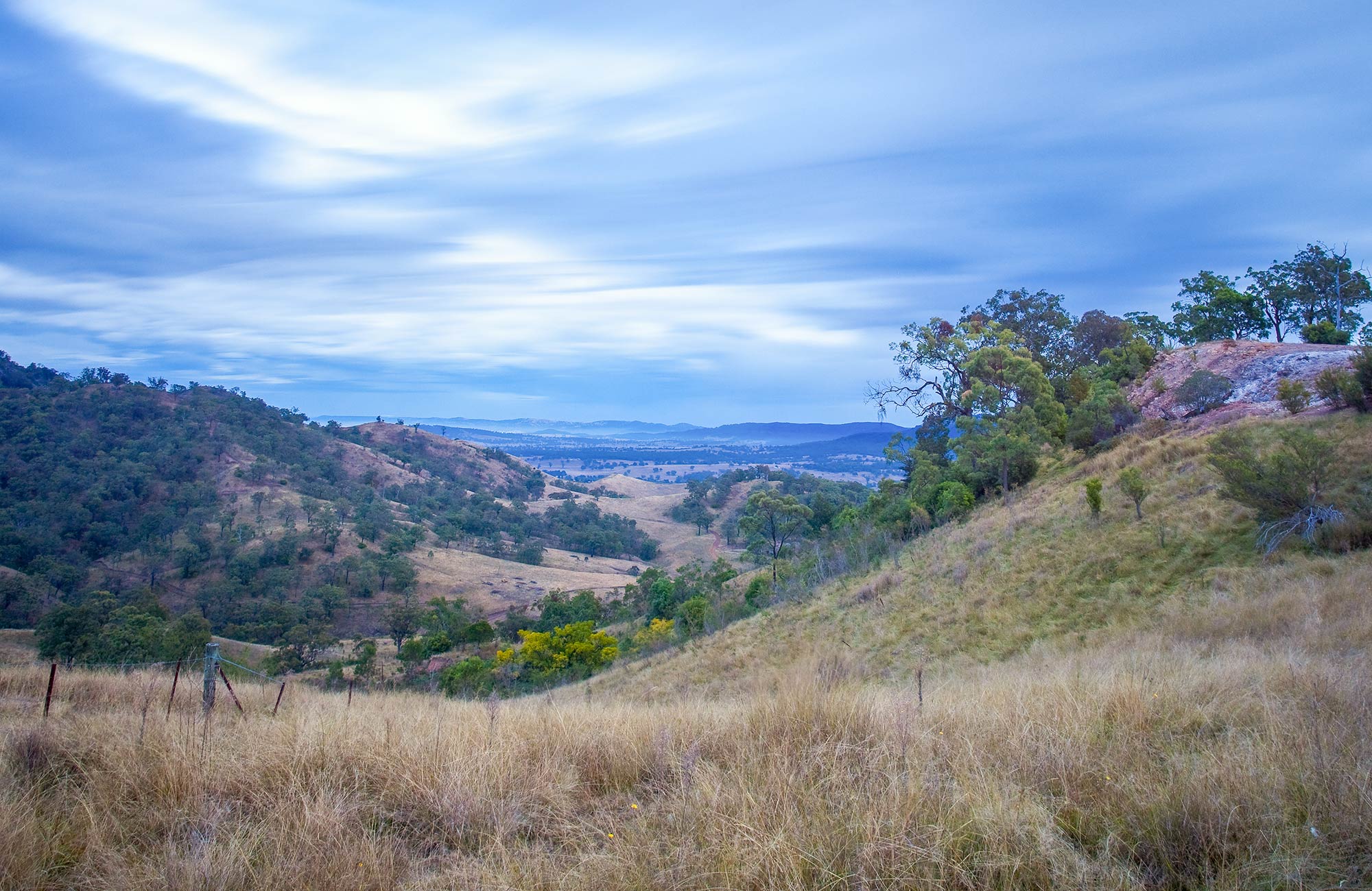 Burning Mountain Nature Reserve. Photo: Brent Mail