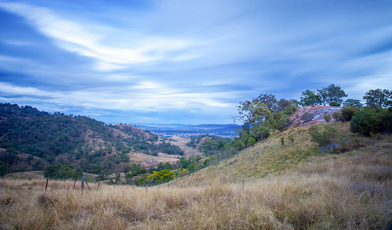 Burning Mountain Nature Reserve. Photo: Brent Mail