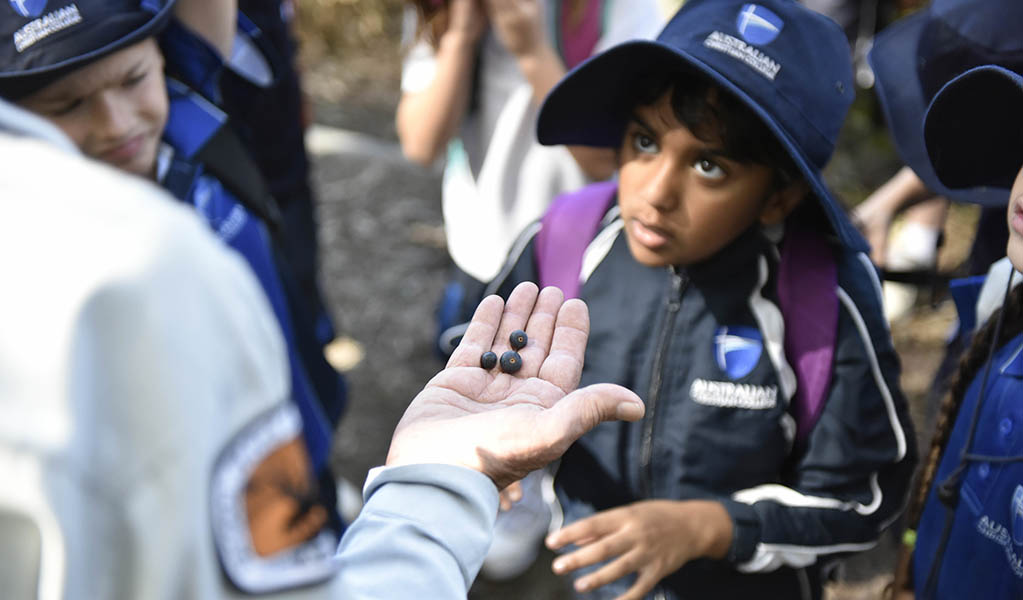 Students listening to a NSW National Parks ranger on a school excursion. Photo: Adam Hollingworth &copy; DPE