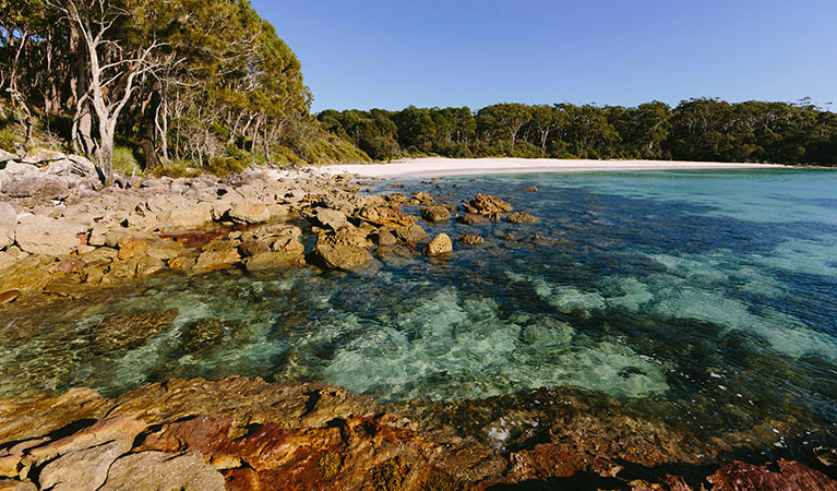 Greenfields Beach, Jervis Bay National Park. Photo: David Finnegan