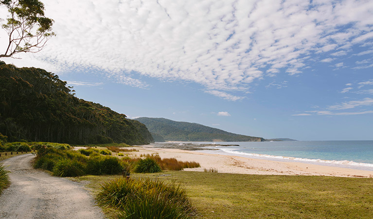 Depot Beach, Murramarang National Park. Photo: David Finnegan