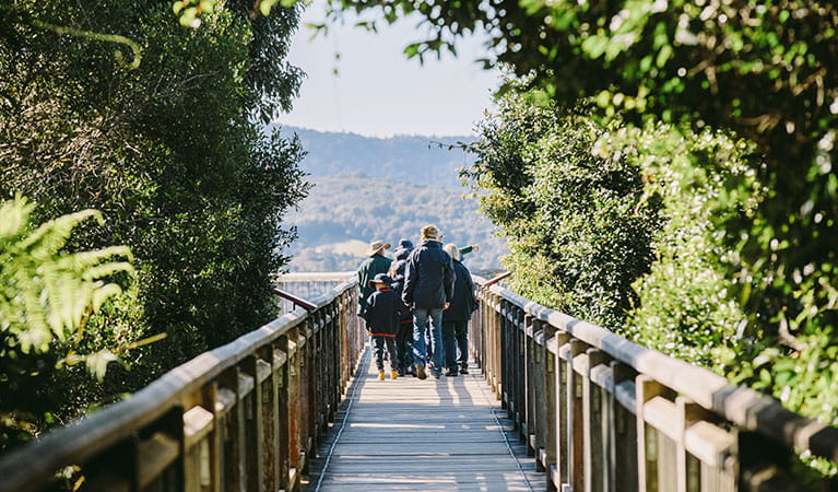Students and teachers walking along the boardwalk to Skywalk lookout in Dorrigo National Park. Photo: Remy Brand &copy; DPIE