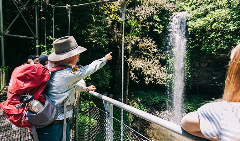 A ranger showing students a waterfall on a Venture to the falls excursion in Dorrigo National Park. Photo: And the Trees Photography &copy; DPIE