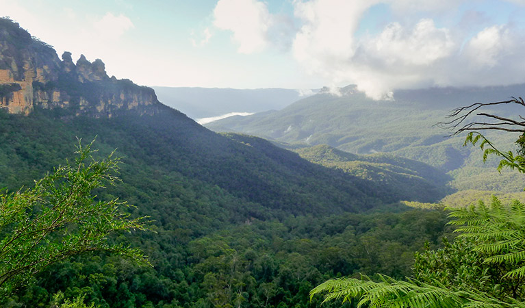 Furber Steps - Scenic Railway walking track, Blue Mountains National Park. Photo: OEH