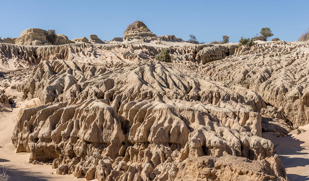 Eroded sand and clay formations of the Mungo lunette in Mungo National Park. Photo: John Spencer &copy; DPE