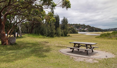 Bonnie Vale campground, Royal National Park. Photo: Andrew Richards