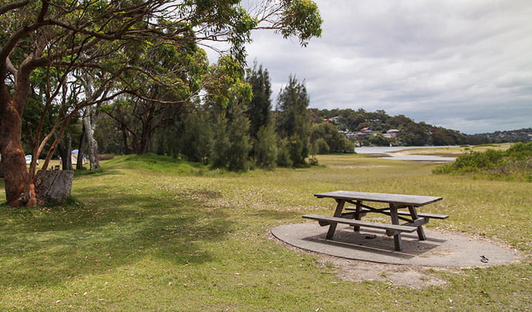Bonnie Vale campground, Royal National Park. Photo: Andrew Richards