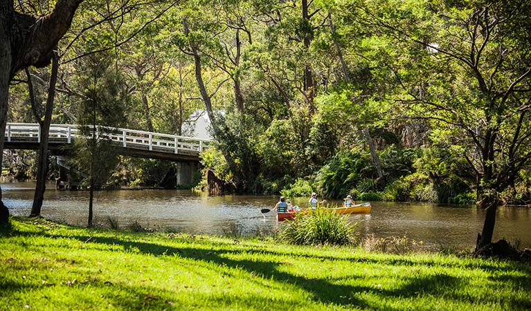 People enjoying Audley, Royal National Park. Photo: David Finnegan