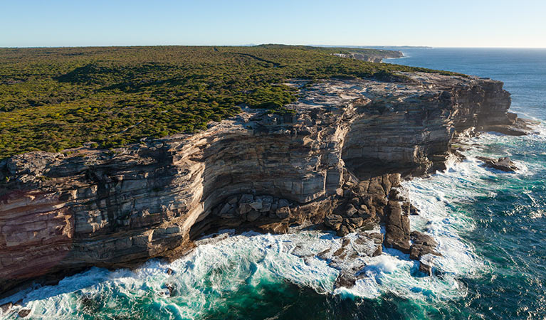 Royal National Park. Photo: David Finnegan