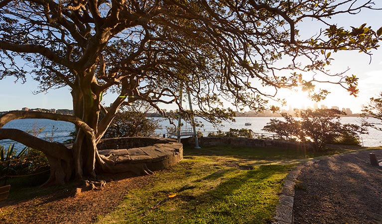 Bradley's Head, Sydney Harbour National Park. Photo: David Finnegan