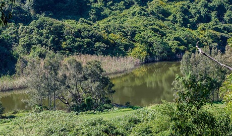 Bombala walking track, Glenrock State Conservation Area. Photo: John Spencer