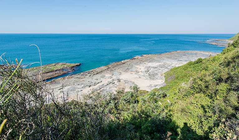 Burwood trail, Glenrock Conservation Area. Photo: John Spencer