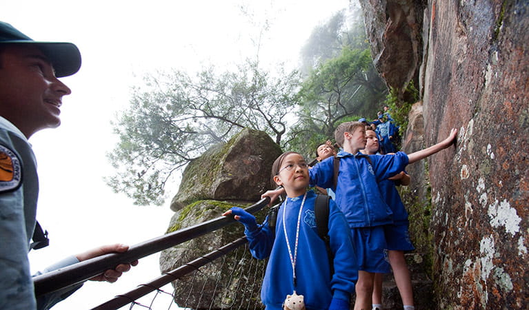 Students on a tour of Katoomba, Blue Mountains National Park. Photo: Nick Cubbin