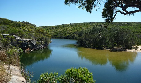 Wattamolla picnic area, Royal National Park. Photo: Understand Down Under