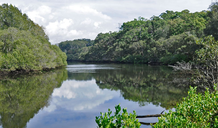 Lane Cove River, Lane Cove National Park. Photo: Kevin McGrath