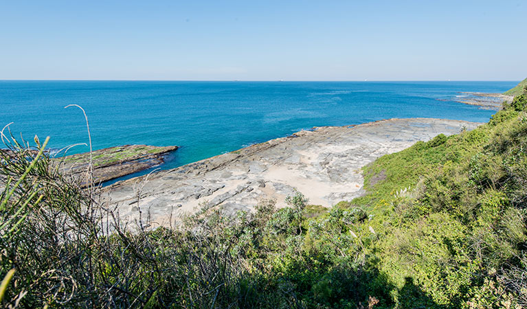 Burwood trail, Glenrock Conservation Area. Photo: John Spencer