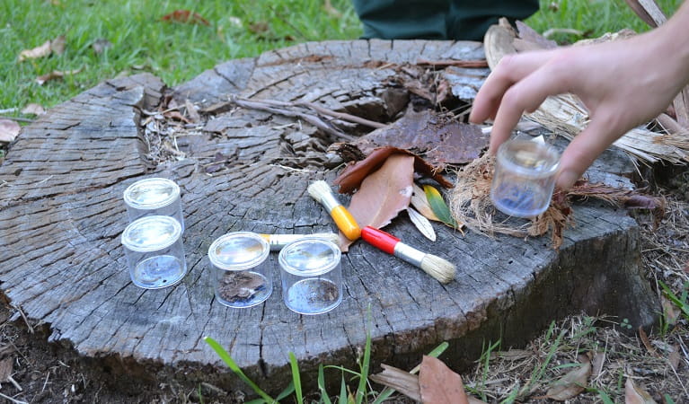 Science investigations at a WildThings primary school excursion. Photo: Julie Brown/OEH