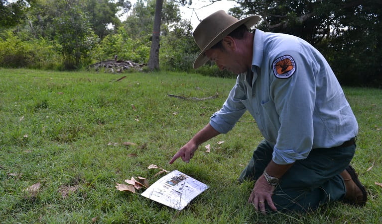 A ranger investigating the natural environment on a WildTracker school excursion. Photo: Julie Brown/OEH