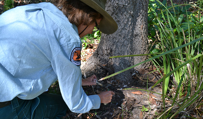 WilderQuest Learning WildTracker primary science excursions. Photo: Julie Brown/OEH