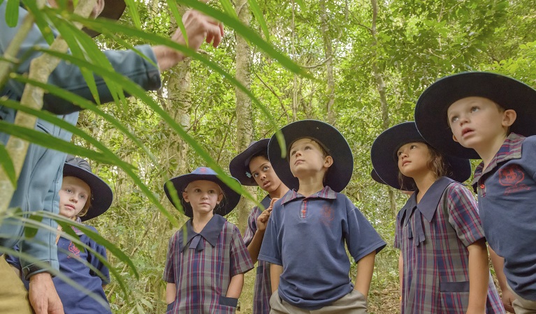 Students being guided on a school excursion in a NSW national park. Photo: J. Spencer/OEH